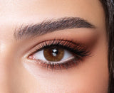 Bella One Day - Hazel Honey - Five Pairs