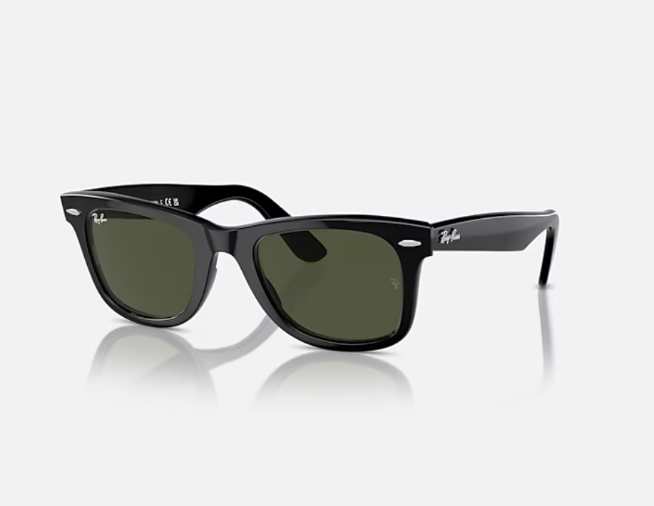 Rayban Wayfer sunglass
