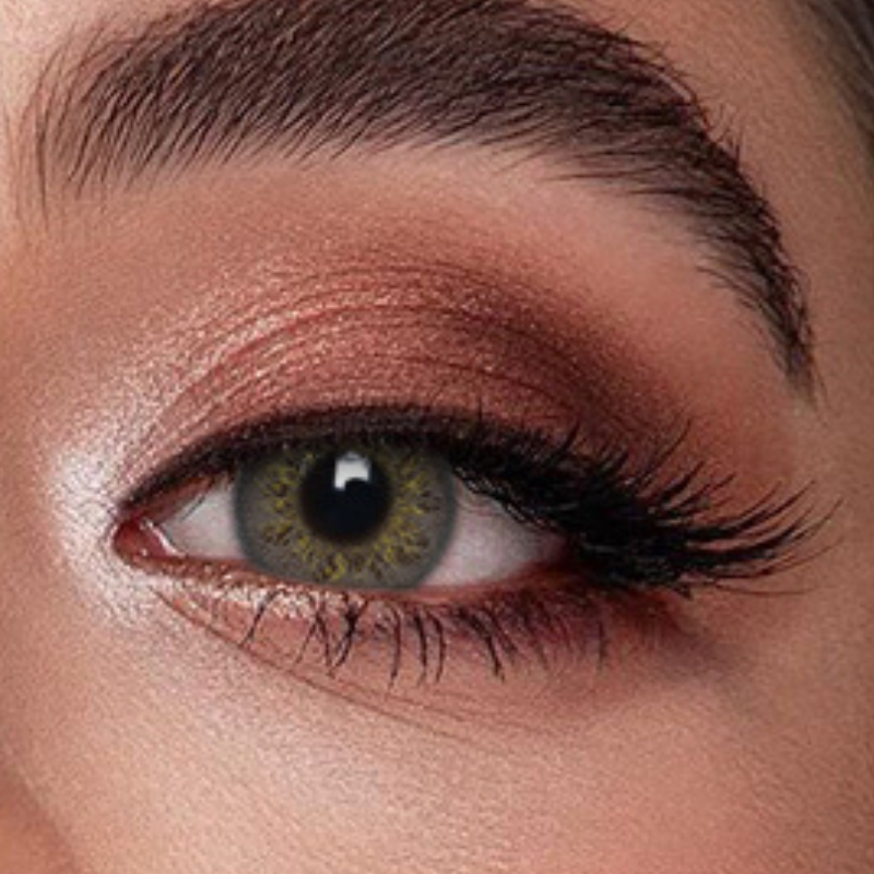 Veni Taylor Brown Colored Contact Lens - VC-02