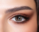 Bella One Day - Rosewood - Five pairs