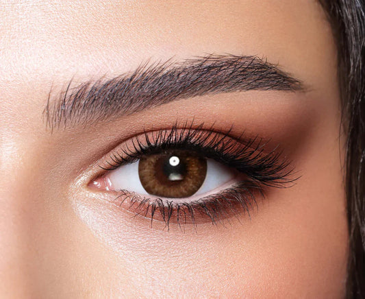 Bella One Day - Almond Brown - Five Pairs