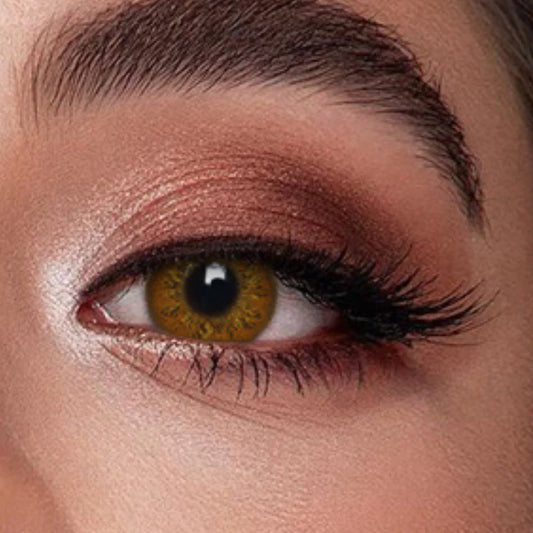 Veni Russian Brown Colored Contact Lens - VC-03