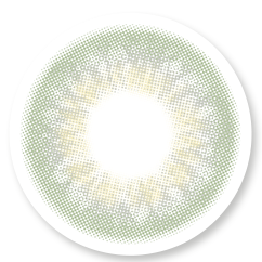 Veni Taylor Green Colored Contact Lens - VC-06
