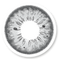 Veni Romona Gray Colored Contact Lens - VC-08