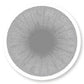 Veni Ice Gray Colored Contact Lens - VC-21