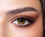 Natural - Cool Hazel