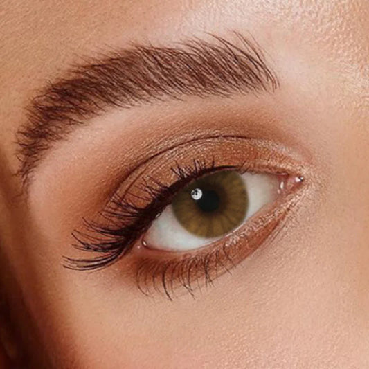 Veni Ocre Colored Contact Lens - VC-17